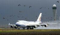 JAAR2004:ONDERWERPEN VAN HET JAAR 2004;23APRIL2005   -Copyright Martin Mooij

china air start in de regen op Schiphol vogels markeren het vertrek vande Boeiing 747.